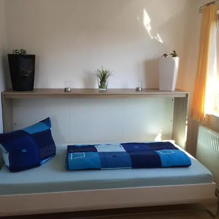 Zur Ilmenau דירה *